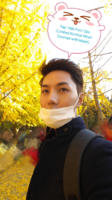 IMG_20161113_1.png