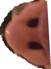 nostrils.png